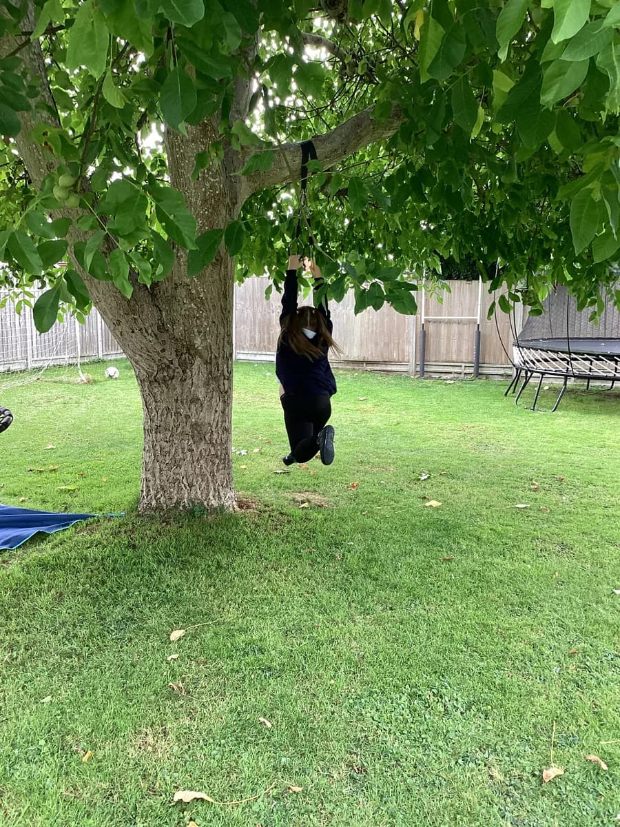A child using a hanging swing beneath a leafy tree in the garden